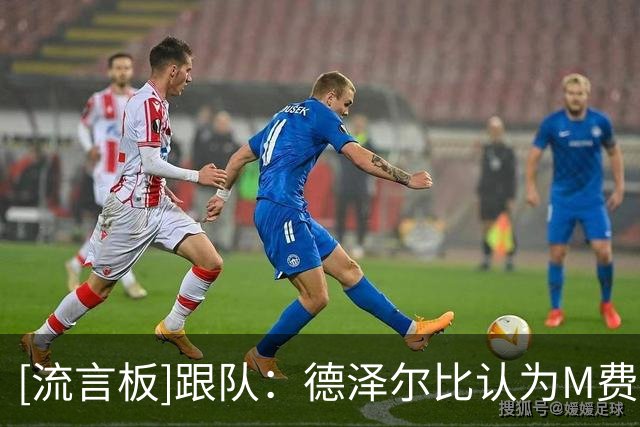 [流言板]跟队：德泽尔比认为M费是热刺未来核心，但现在更信任托纳利